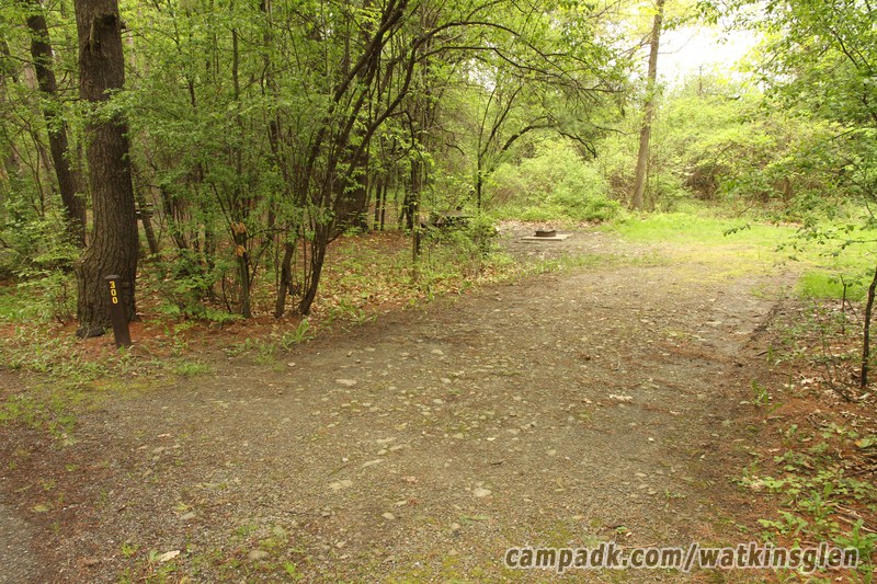 Campsite Photo of Site 300 at Watkins Glen State Park, New York - Looking at Site from Road Sign Visible