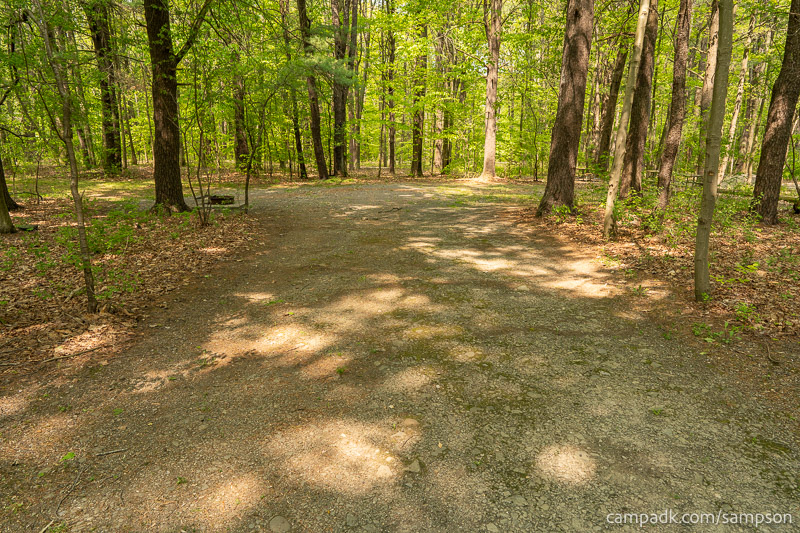 Campsite Photo of Site 246 at Watkins Glen State Park, New York - Looking at Site from Road