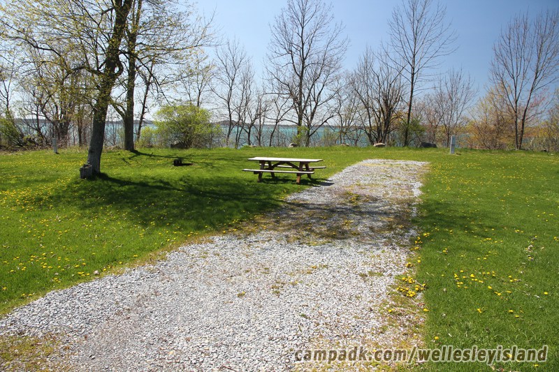 Campsite Photo of Site 8 at Wellesley Island State Park, New York - Looking at Site from Road Sign Visible