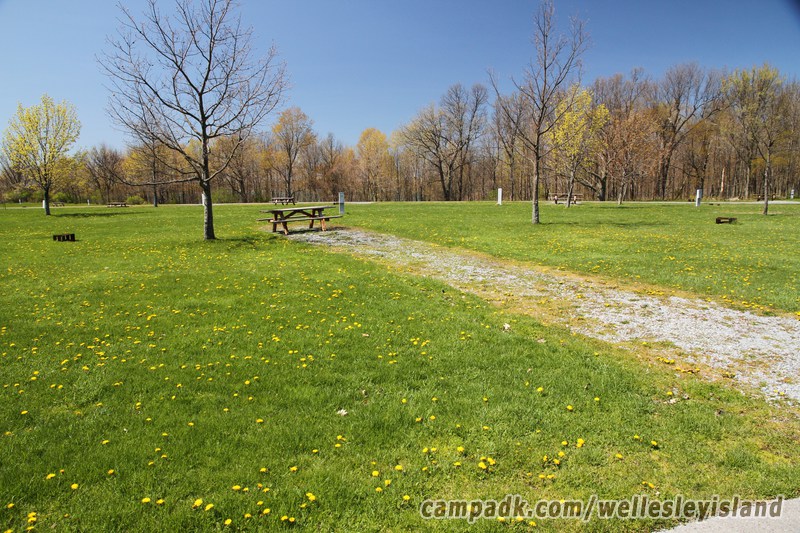 Campsite Photo of Site 23 at Wellesley Island State Park, New York - Looking at Site from Road Sign Visible