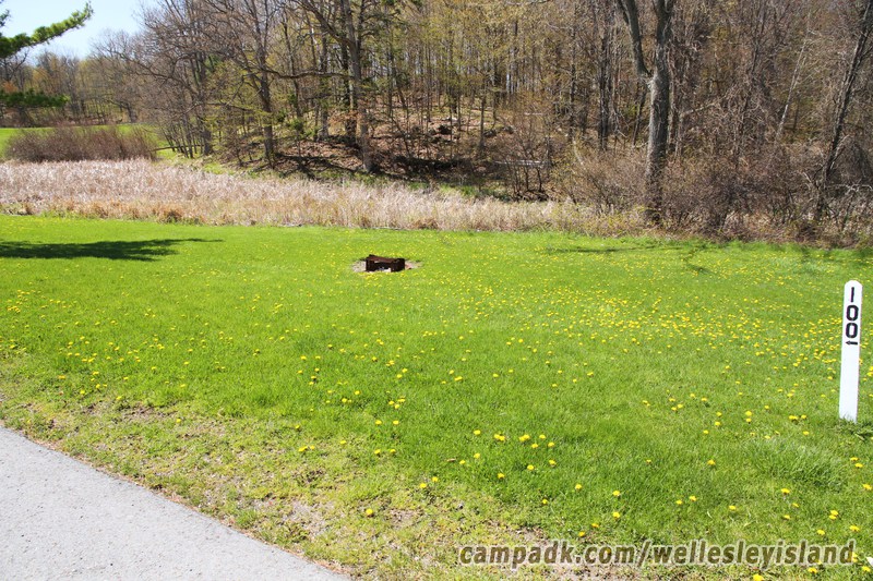 Campsite Photo of Site 100 at Wellesley Island State Park, New York - Looking at Site from Road Sign Visible