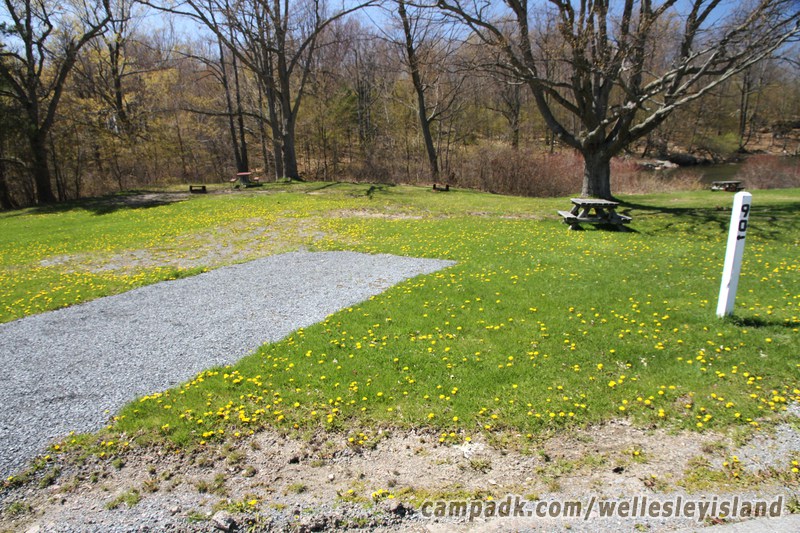 Campsite Photo of Site 90 at Wellesley Island State Park, New York - Looking at Site from Road Sign Visible