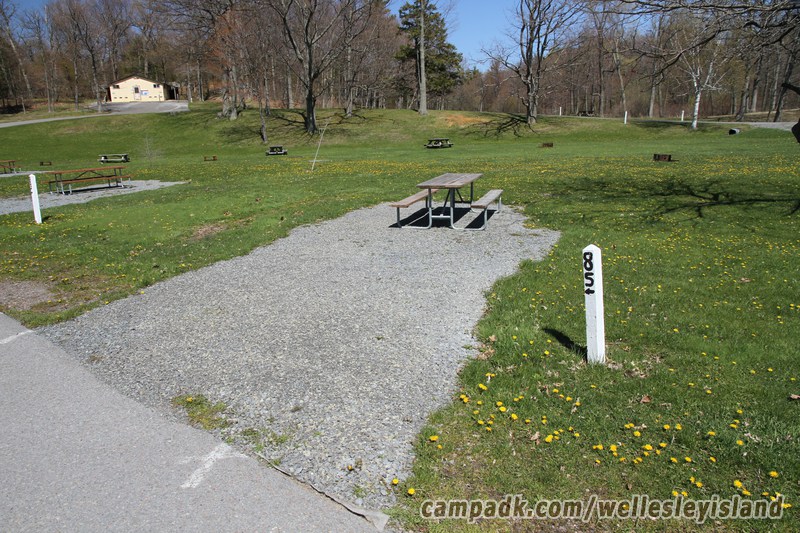 Campsite Photo of Site 85 at Wellesley Island State Park, New York - Looking at Site from Road Sign Visible