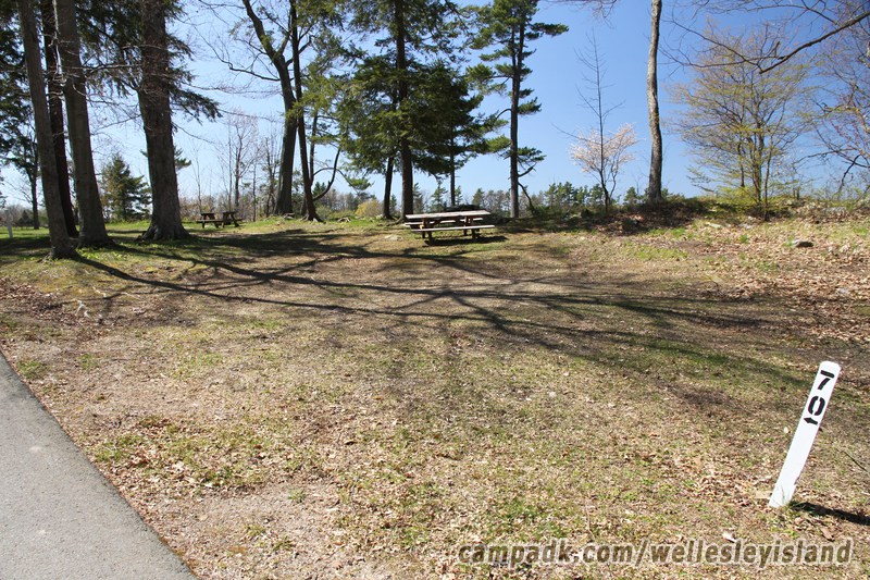 Campsite Photo of Site 70 at Wellesley Island State Park, New York - Looking at Site from Road Sign Visible