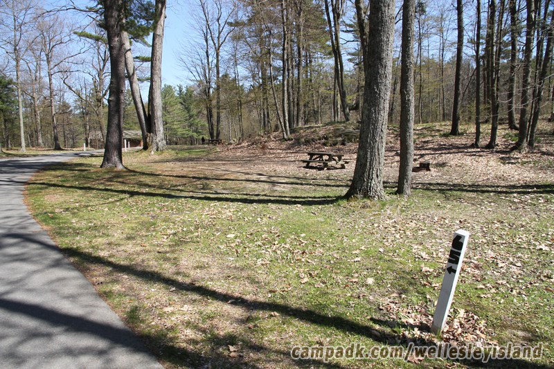 Campsite Photo of Site 65 at Wellesley Island State Park, New York - Looking at Site from Road Sign Visible