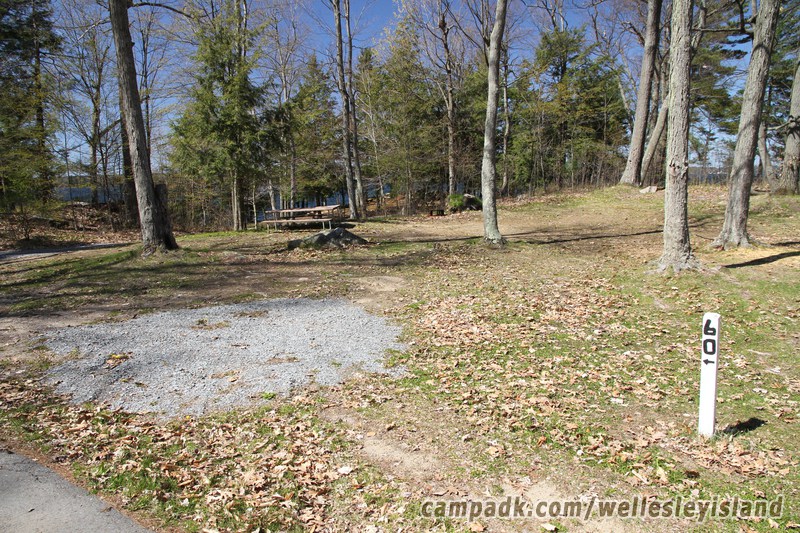 Campsite Photo of Site 60 at Wellesley Island State Park, New York - Looking at Site from Road Sign Visible