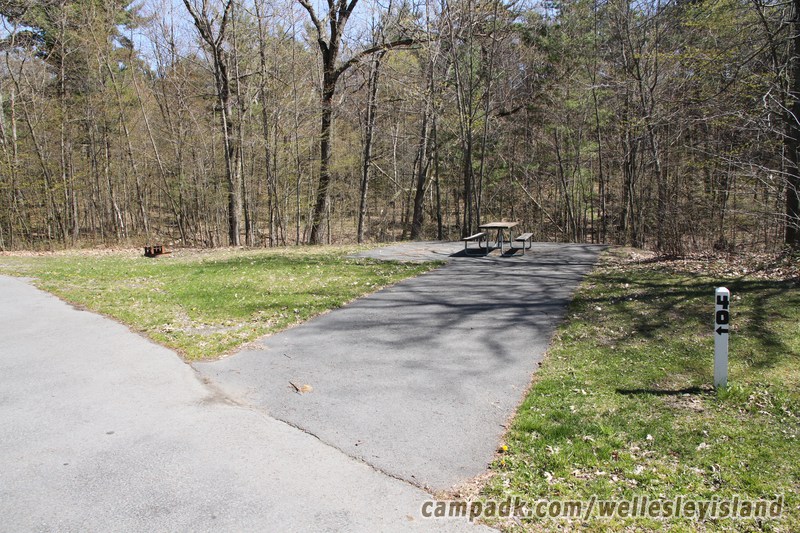 Campsite Photo of Site 40 at Wellesley Island State Park, New York - Looking at Site from Road Sign Visible
