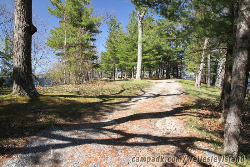 Campsite Photo of Site 55 at Wellesley Island State Park, New York - Looking at Site from Road Sign Visible