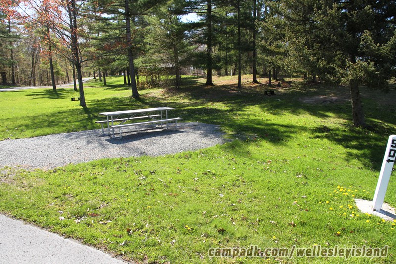 Campsite Photo of Site 50 at Wellesley Island State Park, New York - Looking at Site from Road Sign Visible