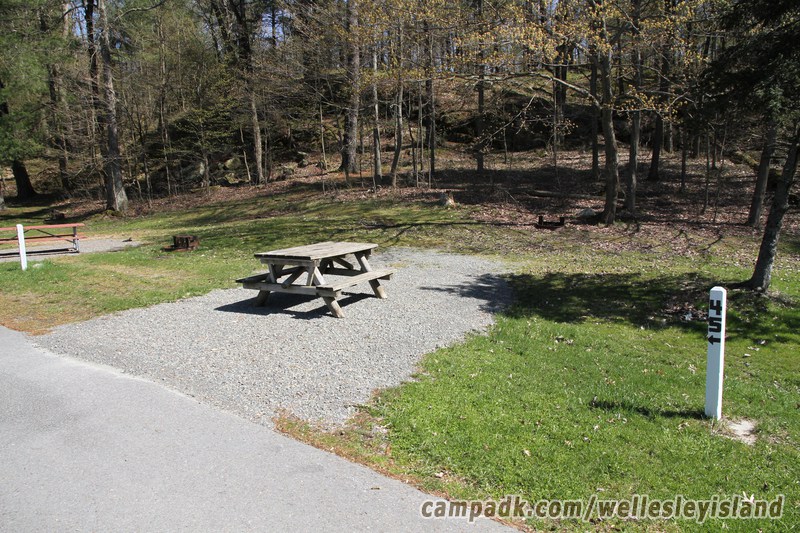 Campsite Photo of Site 45 at Wellesley Island State Park, New York - Looking at Site from Road Sign Visible