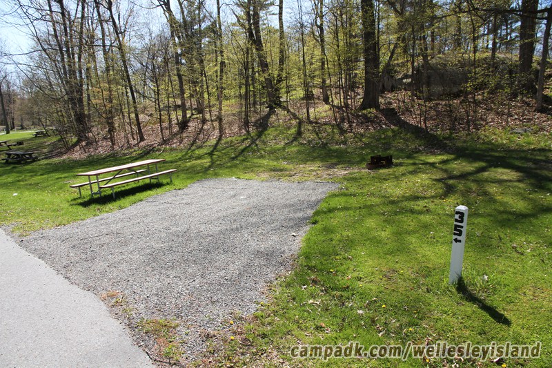 Campsite Photo of Site 35 at Wellesley Island State Park, New York - Looking at Site from Road Sign Visible