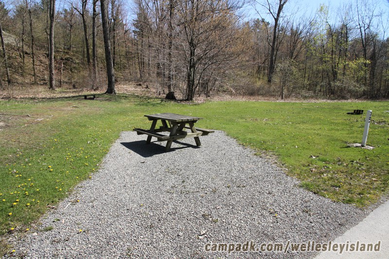 Campsite Photo of Site 30 at Wellesley Island State Park, New York - Looking at Site from Road Sign Visible