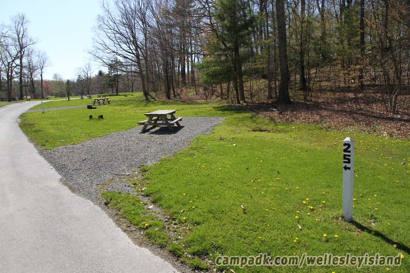 Campsite Photo of Site 25 at Wellesley Island State Park, New York - Looking at Site from Road Sign Visible