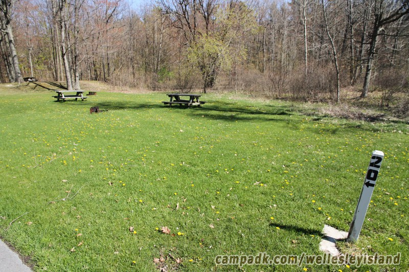 Campsite Photo of Site 20 at Wellesley Island State Park, New York - Looking at Site from Road Sign Visible