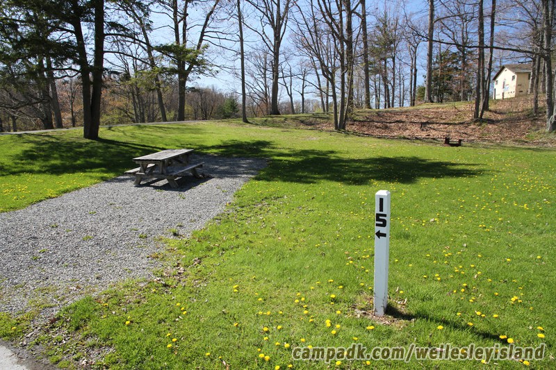 Campsite Photo of Site 15 at Wellesley Island State Park, New York - Looking at Site from Road Sign Visible