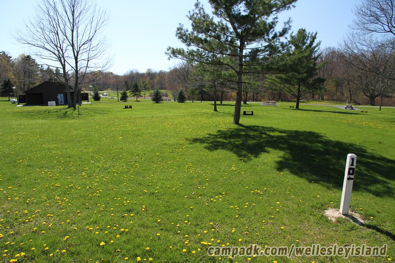 Campsite Photo of Site 10 at Wellesley Island State Park, New York - Looking at Site from Road Sign Visible