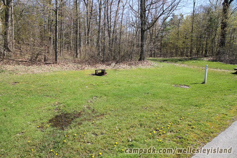 Campsite Photo of Site 5 at Wellesley Island State Park, New York - Looking at Site from Road Sign Visible