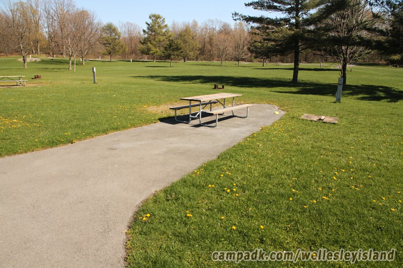 Campsite Photo of Site 49 at Wellesley Island State Park, New York - Looking at Site from Road Sign Visible
