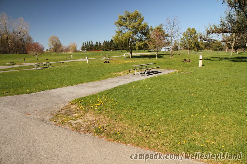 Campsite Photo of Site 9 at Wellesley Island State Park, New York - Looking at Site from Road Sign Visible