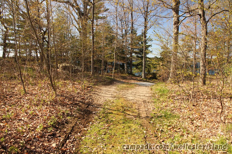 Campsite Photo of Site 15 at Wellesley Island State Park, New York - Looking at Site from Road