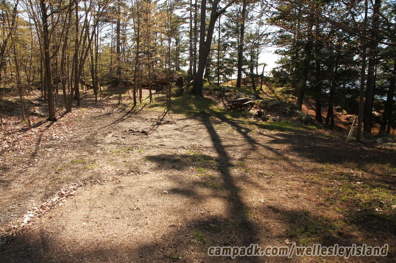 Campsite Photo of Site 20 at Wellesley Island State Park, New York - Looking at Site from Road Sign Visible