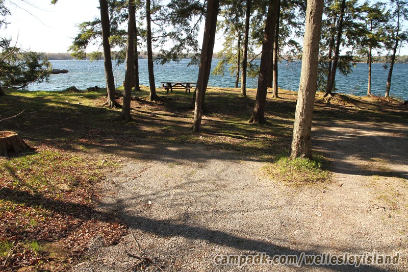 Campsite Photo of Site 7 at Wellesley Island State Park, New York - Looking at Site from Road
