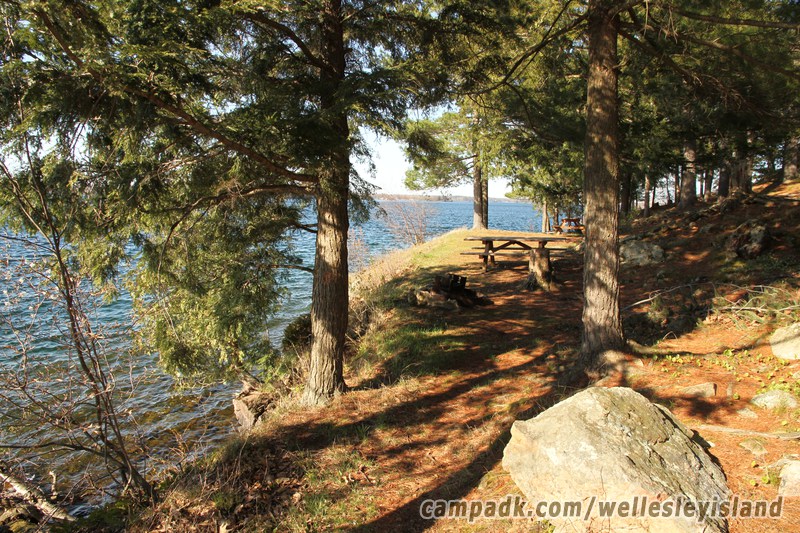 Campsite Photo of Site 17 at Wellesley Island State Park, New York - Looking at Site from Road Sign Visible