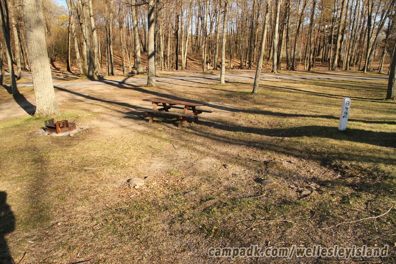 Campsite Photo of Site 49 at Wellesley Island State Park, New York - Looking at Site from Road Sign Visible
