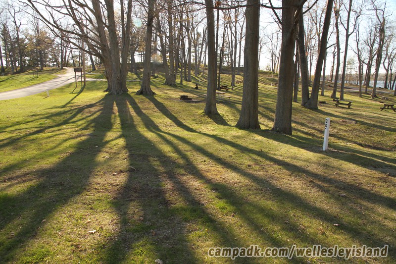 Campsite Photo of Site 30 at Wellesley Island State Park, New York - Looking at Site from Road Sign Visible