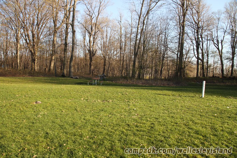 Campsite Photo of Site 70 at Wellesley Island State Park, New York - Looking at Site from Road Sign Visible