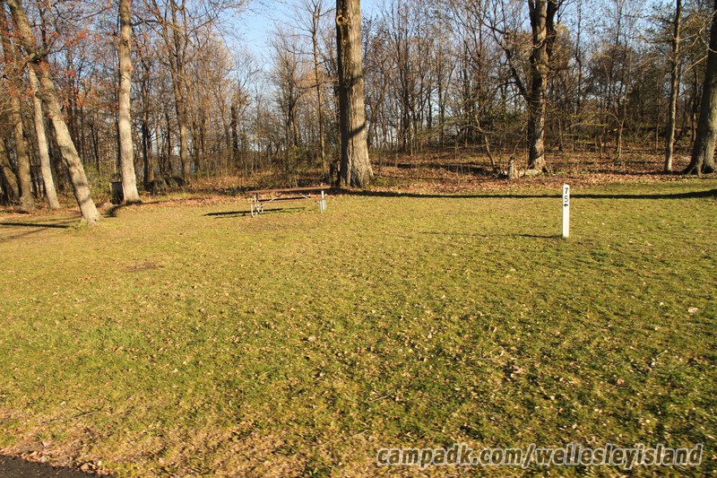 Campsite Photo of Site 75 at Wellesley Island State Park, New York - Looking at Site from Road Sign Visible