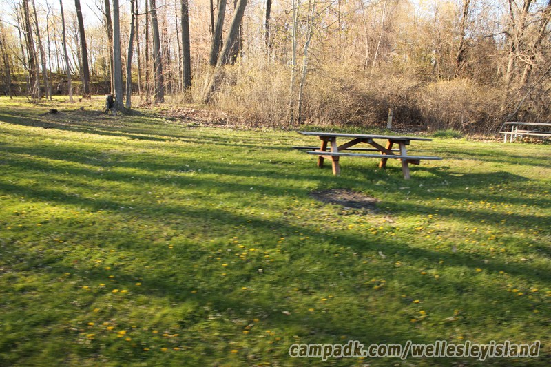 Campsite Photo of Site 4 at Wellesley Island State Park, New York - Looking at Site from Road Sign Visible