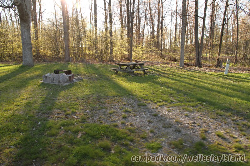 Campsite Photo of Site 14 at Wellesley Island State Park, New York - Looking at Site from Road Sign Visible