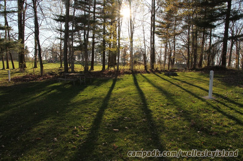 Campsite Photo of Site 10 at Wellesley Island State Park, New York - Looking at Site from Road Sign Visible