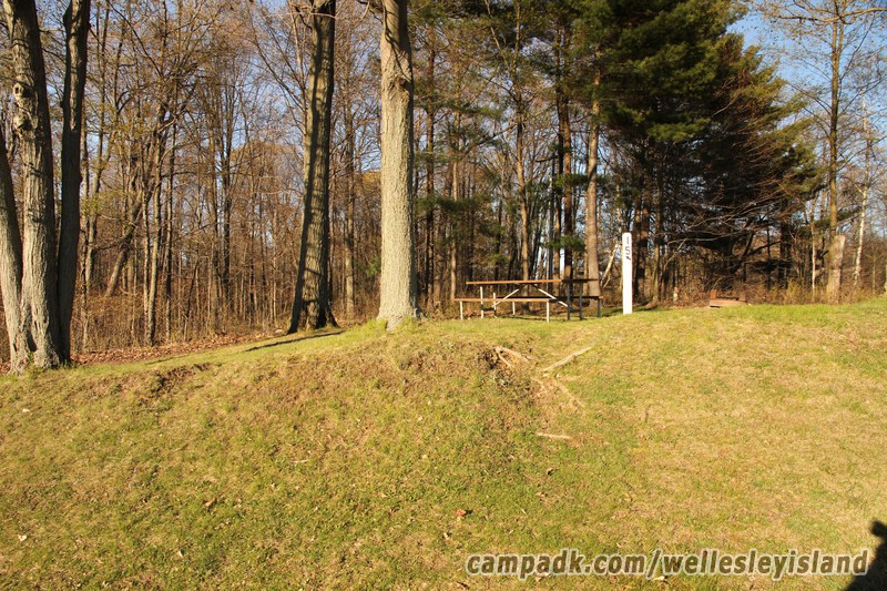 Campsite Photo of Site 15 at Wellesley Island State Park, New York - Looking at Site from Road Sign Visible