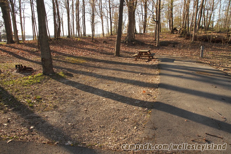 Campsite Photo of Site 74 at Wellesley Island State Park, New York - Looking at Site from Road Sign Visible