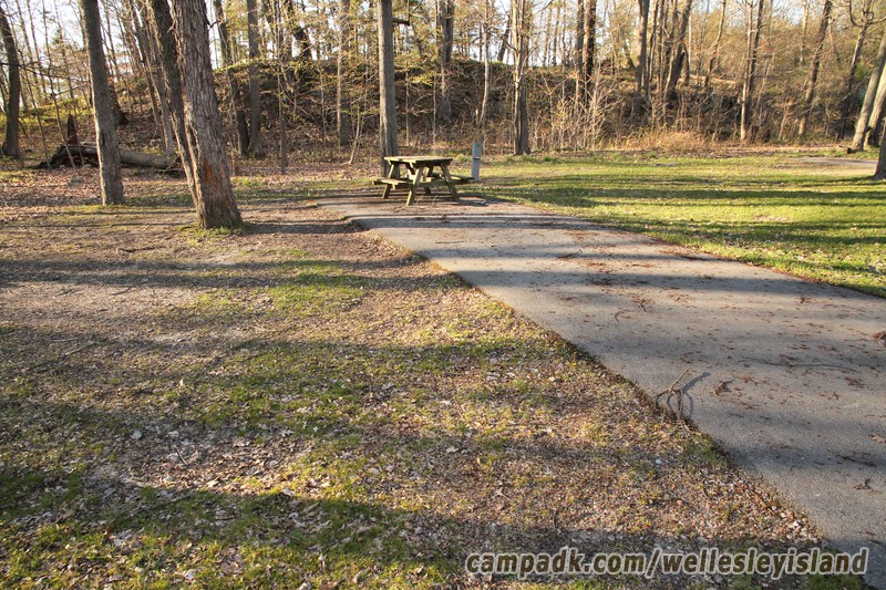 Campsite Photo of Site 54 at Wellesley Island State Park, New York - Looking at Site from Road Sign Visible