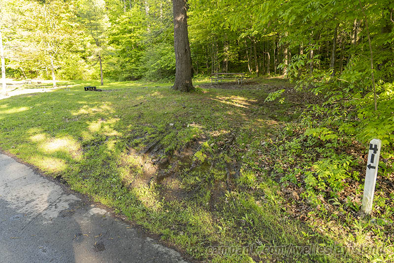 Campsite Photo of Site 41 at Wellesley Island State Park, New York - Looking at Site from Road Sign Visible