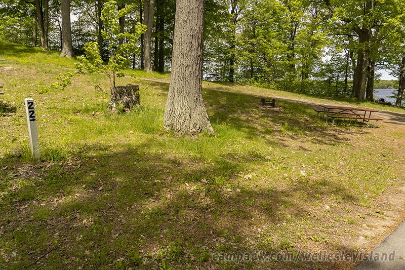 Campsite Photo of Site 22 at Wellesley Island State Park, New York - Looking at Site from Road Sign Visible