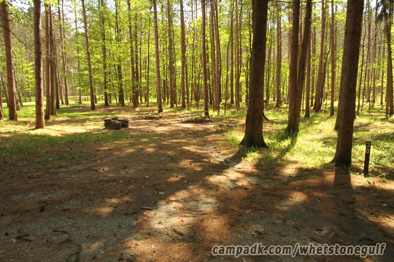 Campsite Photo of Site 20 at Whetstone Gulf State Park, New York - Looking at Site from Road Sign Visible