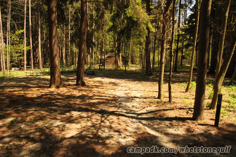 Campsite Photo of Site 30 at Whetstone Gulf State Park, New York - Looking at Site from Road Sign Visible