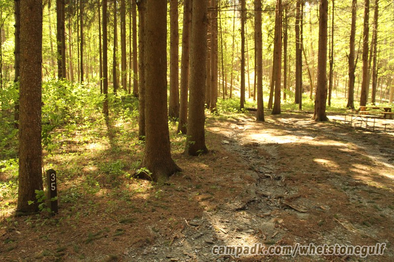 Campsite Photo of Site 35 at Whetstone Gulf State Park, New York - Looking at Site from Road Sign Visible