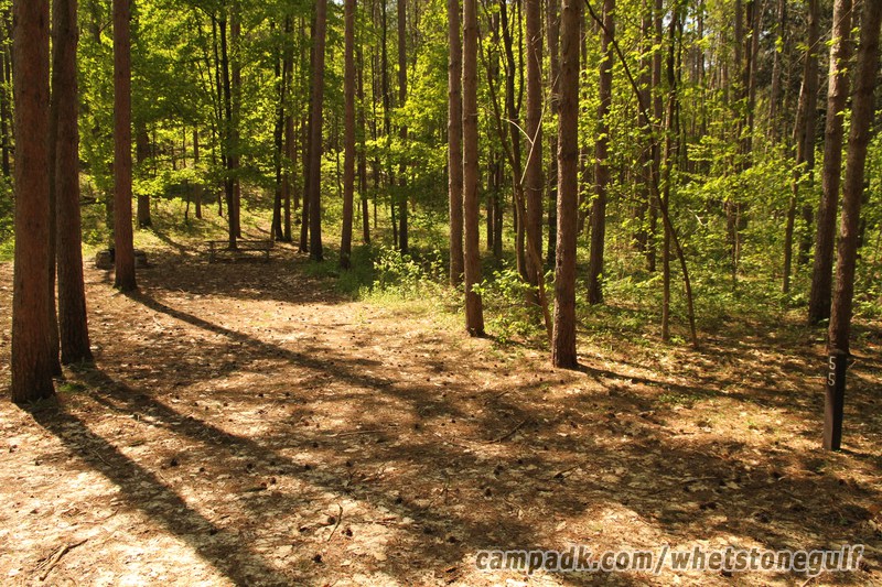 Campsite Photo of Site 55 at Whetstone Gulf State Park, New York - Looking at Site from Road Sign Visible