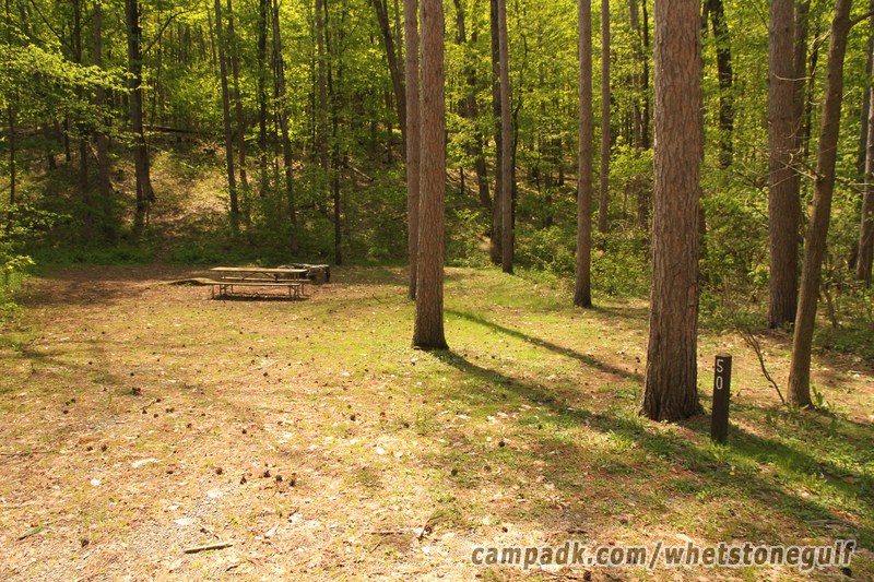 Campsite Photo of Site 50 at Whetstone Gulf State Park, New York - Looking at Site from Road Sign Visible