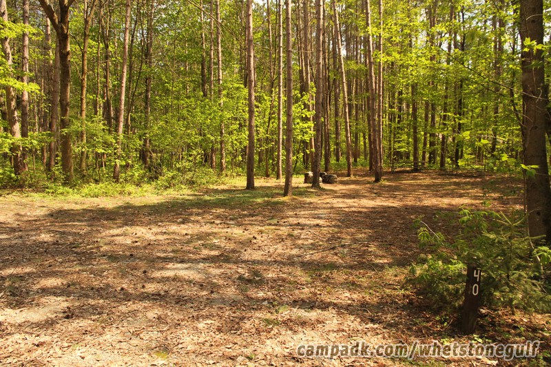 Campsite Photo of Site 40 at Whetstone Gulf State Park, New York - Looking at Site from Road Sign Visible