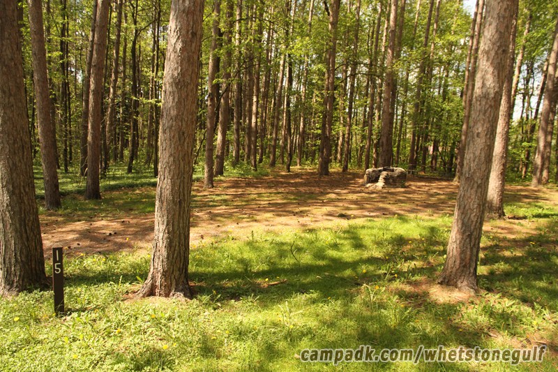 Campsite Photo of Site 15 at Whetstone Gulf State Park, New York - Looking at Site from Road Sign Visible