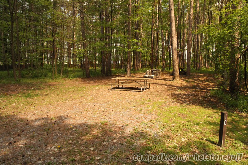 Campsite Photo of Site 10 at Whetstone Gulf State Park, New York - Looking at Site from Road Sign Visible