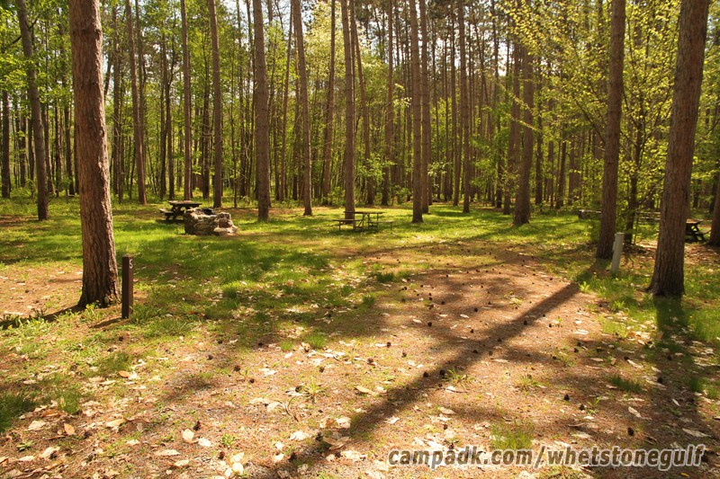 Campsite Photo of Site 5 at Whetstone Gulf State Park, New York - Looking at Site from Road Sign Visible