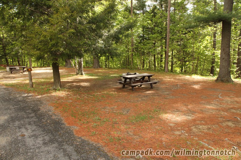 Campsite Photo of Site 10 at Wilmington Notch Campground, New York - Looking at Site from Road Sign Visible
