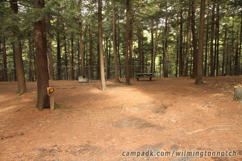 Campsite Photo of Site 50 at Wilmington Notch Campground, New York - Looking at Site from Road Sign Visible
